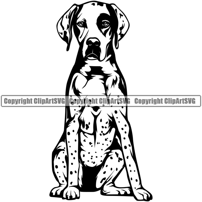 Pointer Dog Sitting Design Element Animal Body Puppy Pup Head Purebred Pedigree Canine K-9 K9 Animal Portrait Doggy Cute Vector Clipart SVG