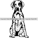 Pointer Dog Sitting Design Element Animal Body Puppy Pup Head Purebred Pedigree Canine K-9 K9 Animal Portrait Doggy Cute Vector Clipart SVG