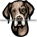 Pointer Dog Color Head Design Element Vector Puppy Pup Head Purebred Pedigree Canine K-9 K9 Animal Portrait Doggy Face Cute Clipart SVG