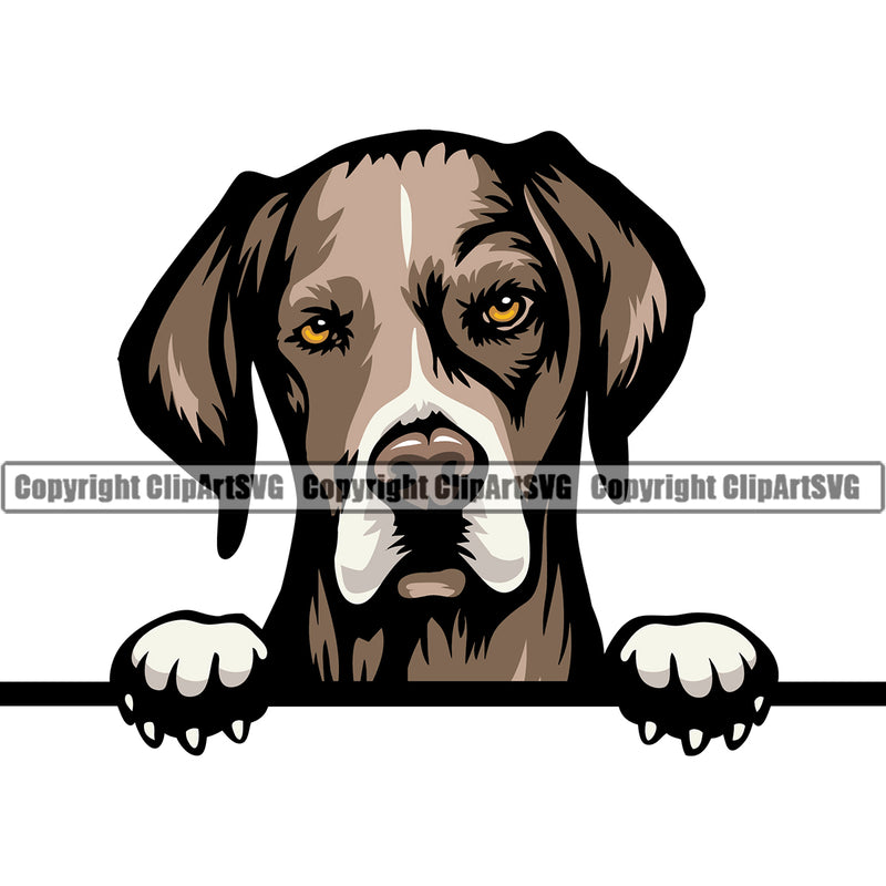 Pointer Dog Peeking Design Color Head Puppy Pup Head Purebred Pedigree Canine K-9 K9 Animal Portrait Doggy Face Cute Vector Clipart SVG