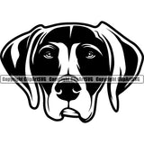 Pointer Dog Black Head Design Element Puppy Pup Head Purebred Pedigree Canine K-9 K9 Animal Portrait Doggy Face Cute Vector Clipart SVG