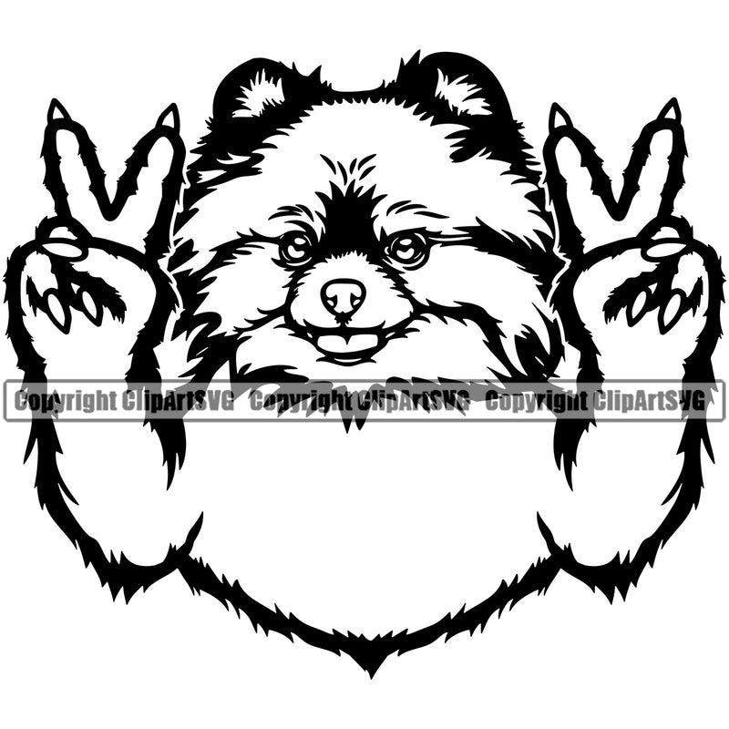 Pomeranian Dog Peace Hand Sign Puppy Pup Head Purebred Pedigree Canine K-9 K9 Animal Portrait Doggy Face Vector Clipart SVG