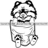 Pomeranian Dog Hanging From Shirt Pocket Design T-Shirt Tshirt Puppy Pup Head Purebred Pedigree Canine K-9 K9 Animal Portrait Doggy Face Cute Body Vector Clipart SVG