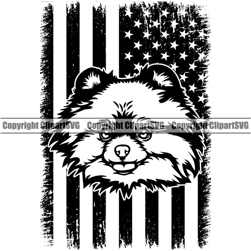 Pomeranian Dog Under USA Flag Design Puppy Pup Head Purebred Pedigree Canine K-9 K9 Animal Portrait Doggy Face Cute Clipart SVG