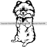 Pomeranian Dog Begging Design Cute Face Animal Body Puppy Pup Head Purebred Pedigree Canine K-9 K9 Animal Portrait Doggy Vector Clipart SVG