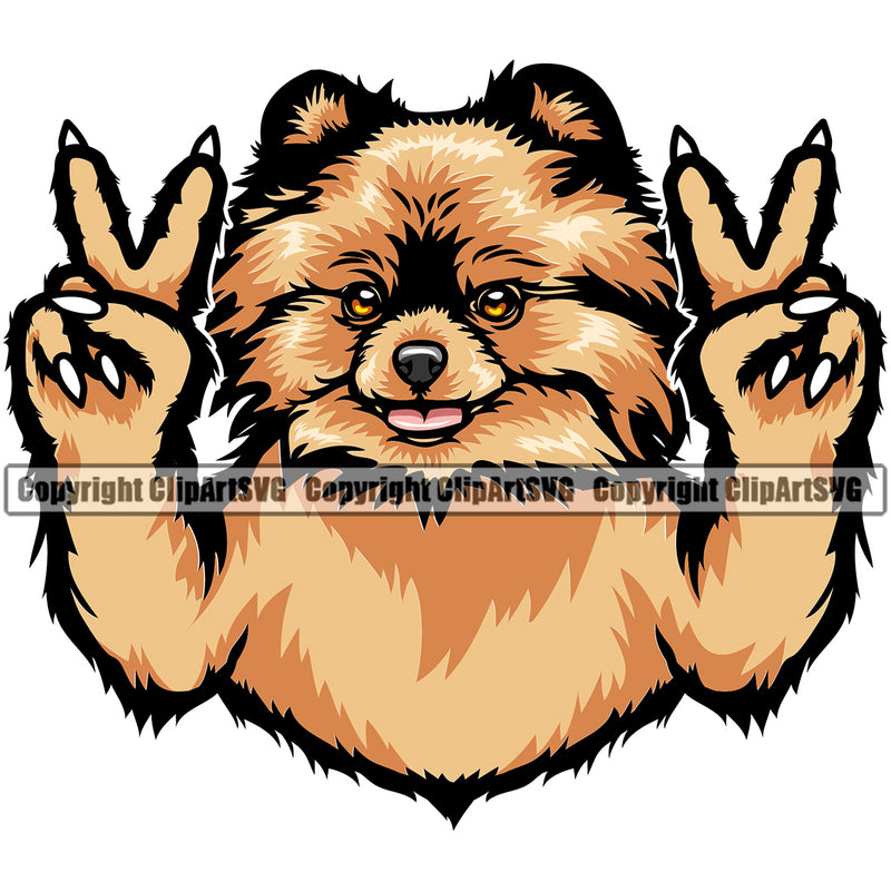 Pomeranian Dog Peace Hand Sign Color Design Puppy Pup Head Purebred Pedigree Canine K-9 K9 Animal Portrait Doggy Face Cute Smile Clipart SVG