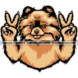 Pomeranian Dog Peace Hand Sign Color Design Puppy Pup Head Purebred Pedigree Canine K-9 K9 Animal Portrait Doggy Face Cute Smile Clipart SVG