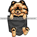Pomeranian Dog Hanging From Shirt Pocket T-Shirt Tshirt Color Design Element Puppy Pup Head Purebred Pedigree Canine K-9 K9 Animal Portrait Doggy Face Cute Body Vector Clipart SVG