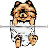 Pomeranian Dog Hanging From Shirt Pocket Color Design Tshirt T-Shirt  Puppy Pup Head Purebred Pedigree Canine K-9 K9 Animal Portrait Doggy Body Clipart SVG