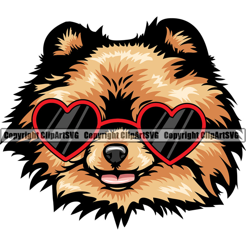 Pomeranian Dog Wearing Sunglasses Sun Heart Design Element Color Head Puppy Pup Purebred Pedigree Canine K-9 K9 Animal Portrait Doggy Vector Clipart SVG