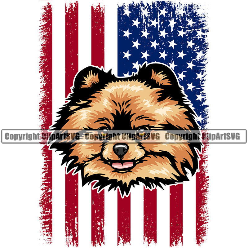 Pomeranian Dog Under USA Flag Color Design Element Animal Head Puppy Pup Pedigree Canine K-9 K9 Animal Portrait Doggy Face Purebred Vector Clipart SVG