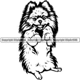 Pomeranian Dog Begging Design Smile Face  Puppy Pup Head Purebred Pedigree Canine K-9 K9 Animal Portrait Doggy Face Clipart SVG