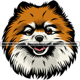 Pomeranian Dog Color Head Design Element Animal Smile Face Vector  Puppy Pup Head Purebred Pedigree Canine K-9 K9 Animal Portrait Doggy Clipart SVG