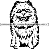 Pomeranian Dog Sitting Design Element Smile Happy Face Purebred Pedigree Canine K-9 K9 Animal Portrait Doggy Puppy Pup Vector Clipart SVG