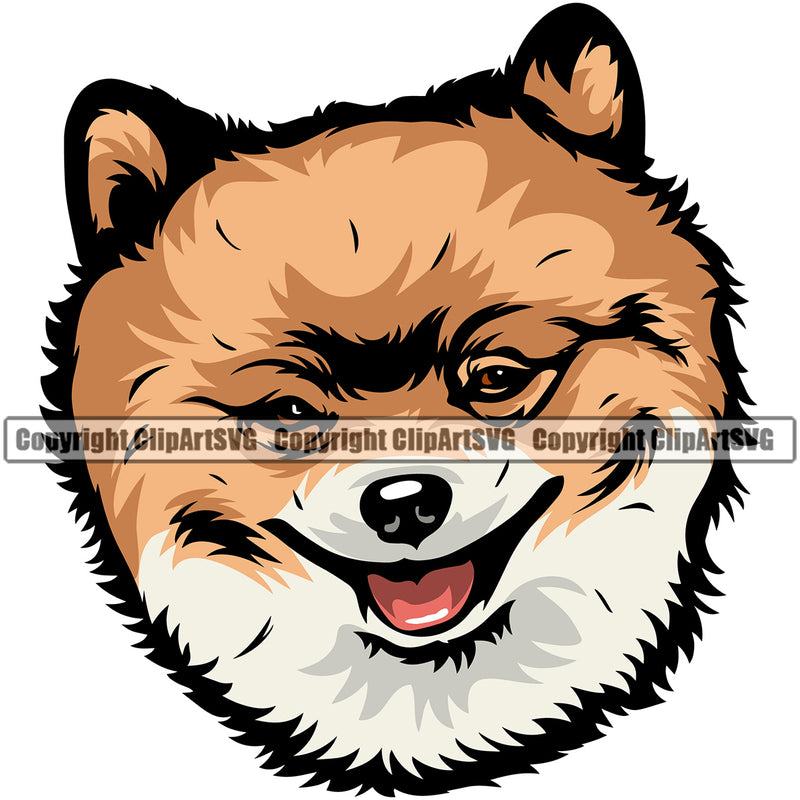 Pomeranian Dog Color Head Design Happy Smile Face  Puppy Pup Head Purebred Pedigree Canine K-9 K9 Animal Portrait Doggy Vector Clipart SVG