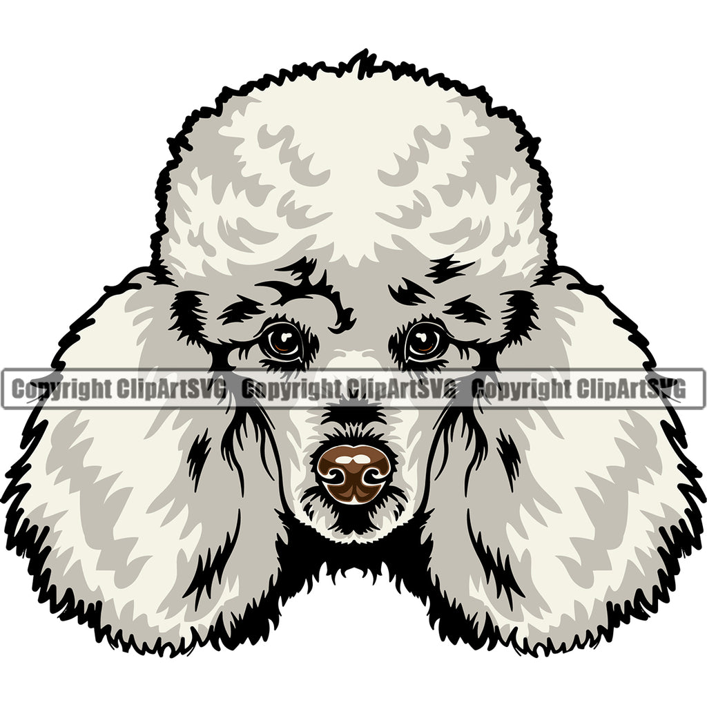 Poodle Dog White Color Animal Head Design Puppy Pup Head Purebred Pedigree Canine K-9 K9 Animal Portrait Doggy Face Cute Vector Clipart SVG