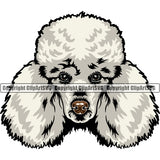 Poodle Dog White Color Animal Head Design Puppy Pup Head Purebred Pedigree Canine K-9 K9 Animal Portrait Doggy Face Cute Vector Clipart SVG