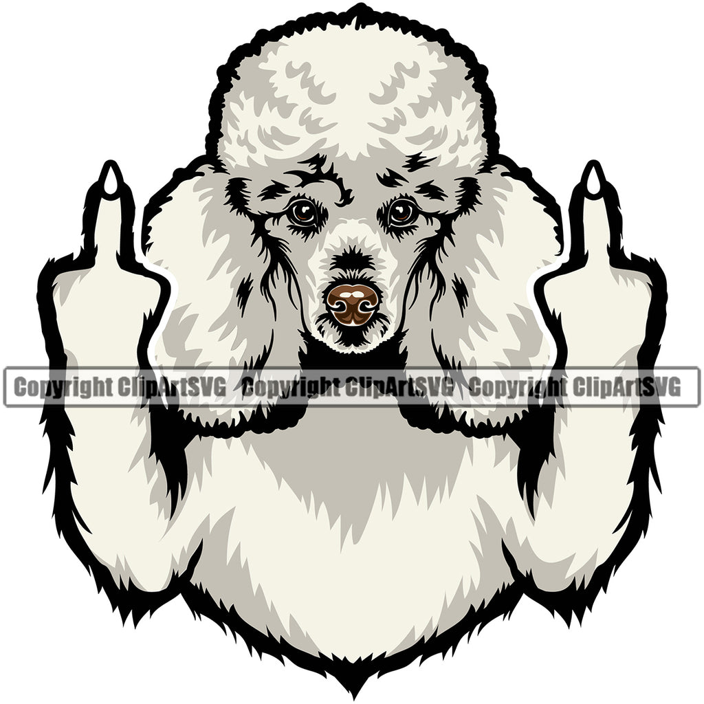 poodle puppy clipart