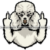 Poodle Dog Middle Finger Hand Sign Color Head Vector Puppy Pup Head Purebred Pedigree Canine K-9 K9 Animal Portrait Doggy Cute Face Vector Clipart SVG