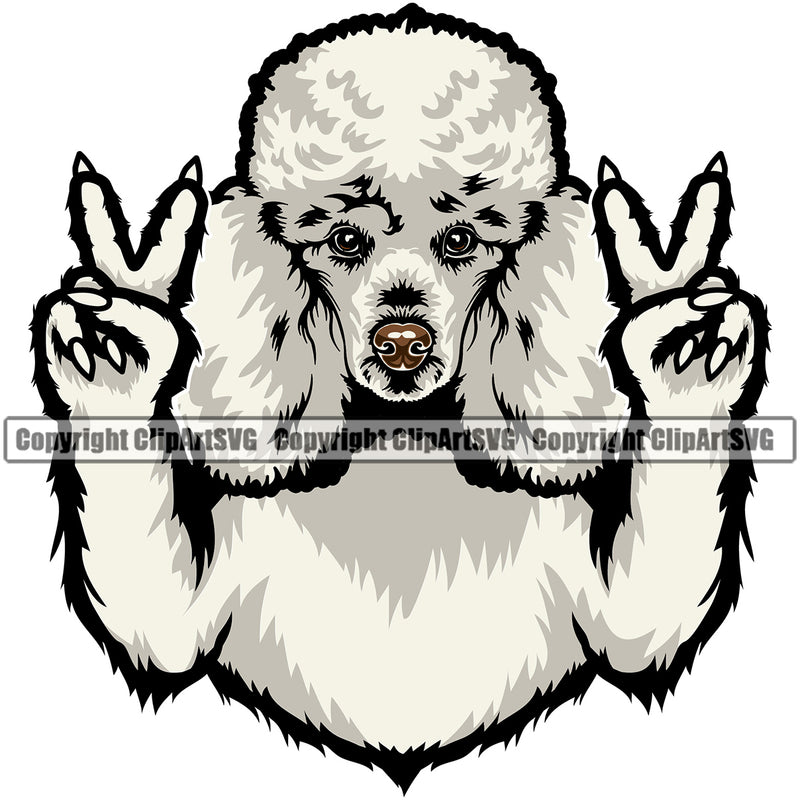 Poodle Dog Peace Hand Sign Color Head Design Smile Cute Face Animal Puppy Pup Head Purebred Pedigree Canine K-9 K9 Animal Portrait Doggy Vector Clipart SVG