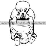 Poodle Dog Hanging From Shirt Pocket White Color Tshirt T-Shirt Design Cute Face Animal Puppy Pup Head Pedigree Canine K-9 K9 Animal Portrait Doggy Purebred Vector Clipart SVG