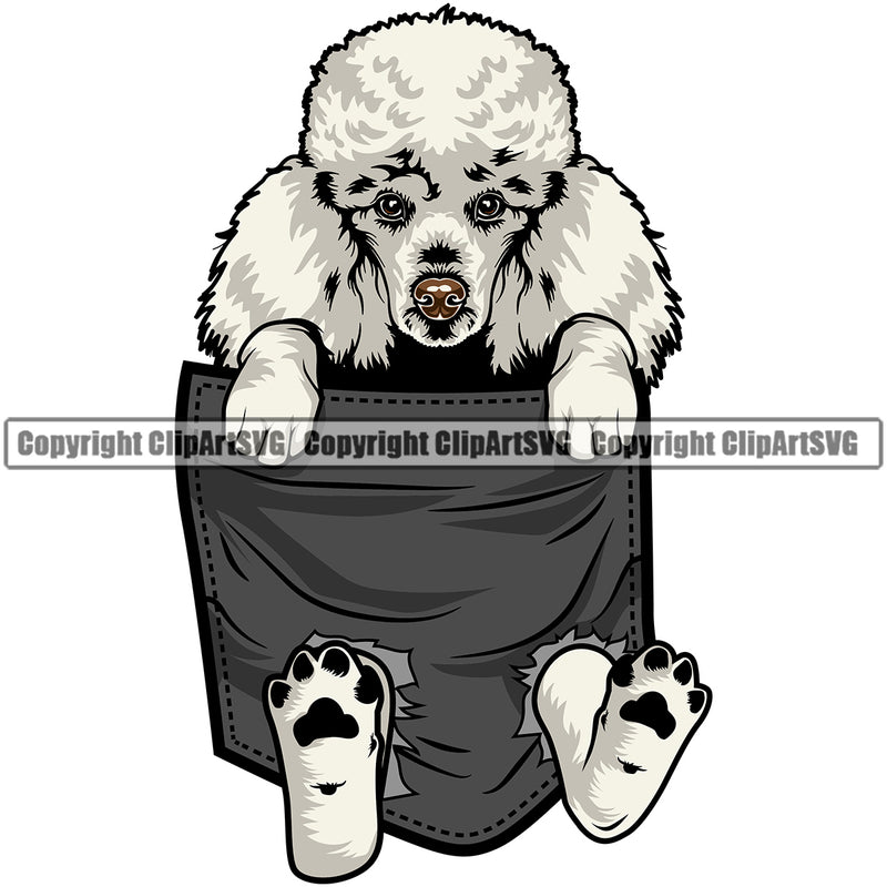 Poodle Dog Hanging From Shirt Pocket Color Design Cute Face Tshirt T-Shirt Puppy Pup Head Purebred Pedigree Canine K-9 K9 Animal Portrait Doggy Vector Clipart SVG