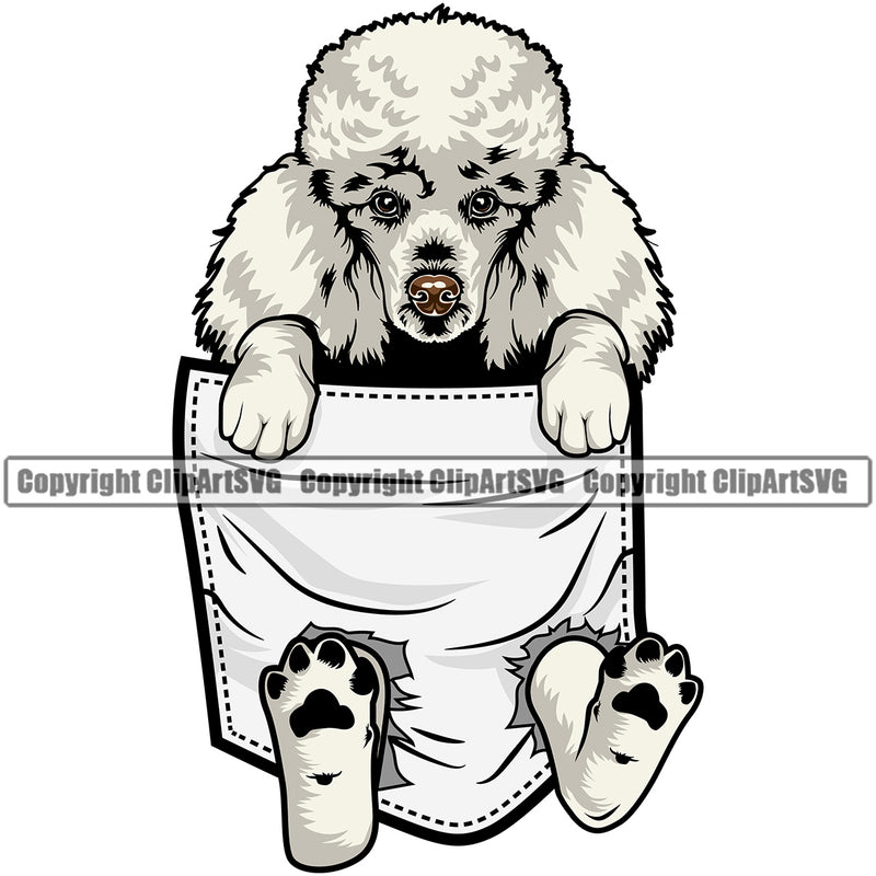 Poodle  Dog Hanging From Shirt Pocket Tshirt T-Shirt Color Design Element Puppy Pup Head Purebred Pedigree Canine K-9 K9 Animal Portrait Doggy Face Cute Vector Clipart SVG