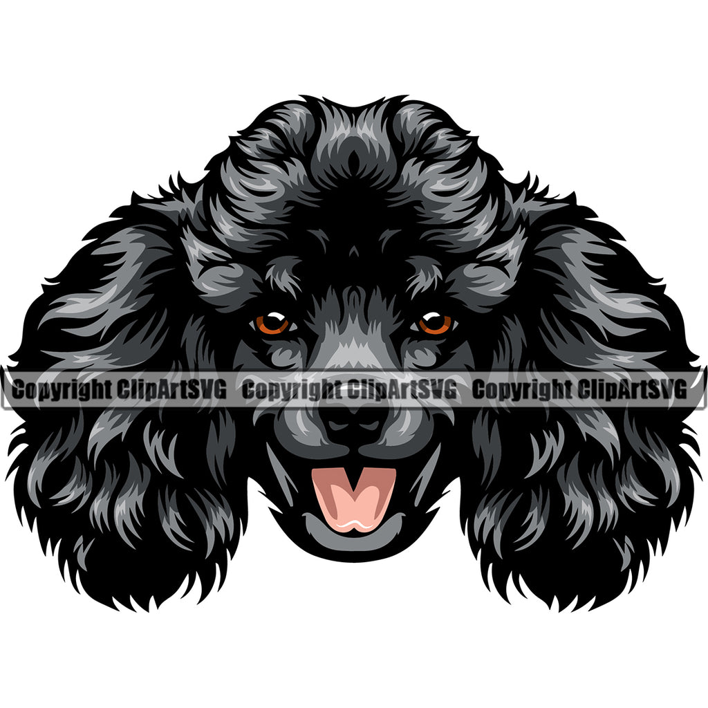 Poodle Dog Black Color Head Design Smile Face Animal Vector Puppy Pup Head Purebred Pedigree Canine K-9 K9 Animal Portrait Doggy Clipart SVG