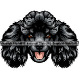 Poodle Dog Black Color Head Design Smile Face Animal Vector Puppy Pup Head Purebred Pedigree Canine K-9 K9 Animal Portrait Doggy Clipart SVG