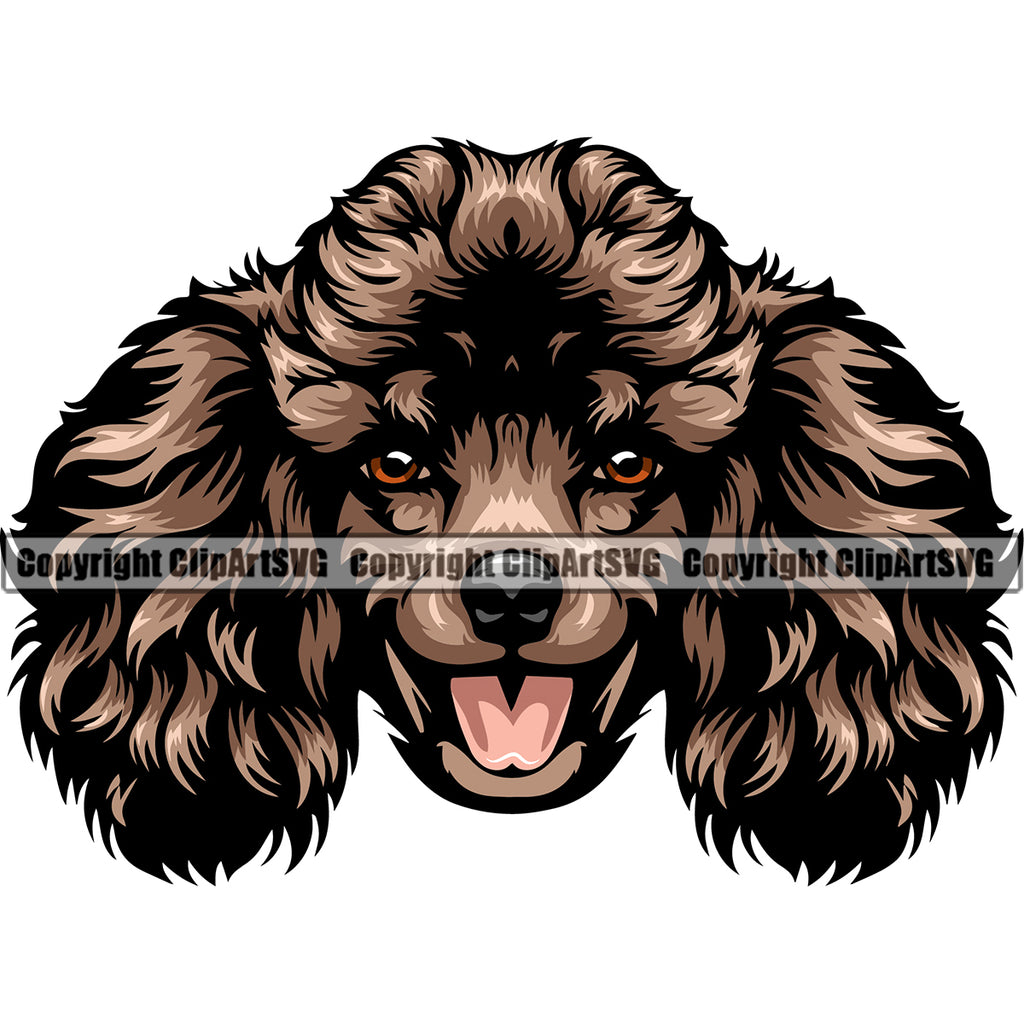 Poodle Dog Brown Color Head Design Cute Face Animal Puppy Pup Head Purebred Pedigree Canine K-9 K9 Animal Portrait Doggy Vector Clipart SVG