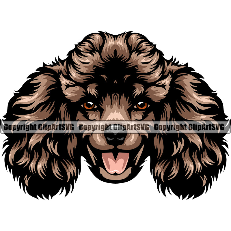 Poodle Dog Brown Color Head Design Cute Face Animal Puppy Pup Head Purebred Pedigree Canine K-9 K9 Animal Portrait Doggy Vector Clipart SVG