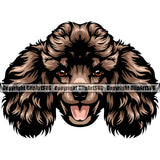 Poodle Dog Brown Color Head Design Cute Face Animal Puppy Pup Head Purebred Pedigree Canine K-9 K9 Animal Portrait Doggy Vector Clipart SVG
