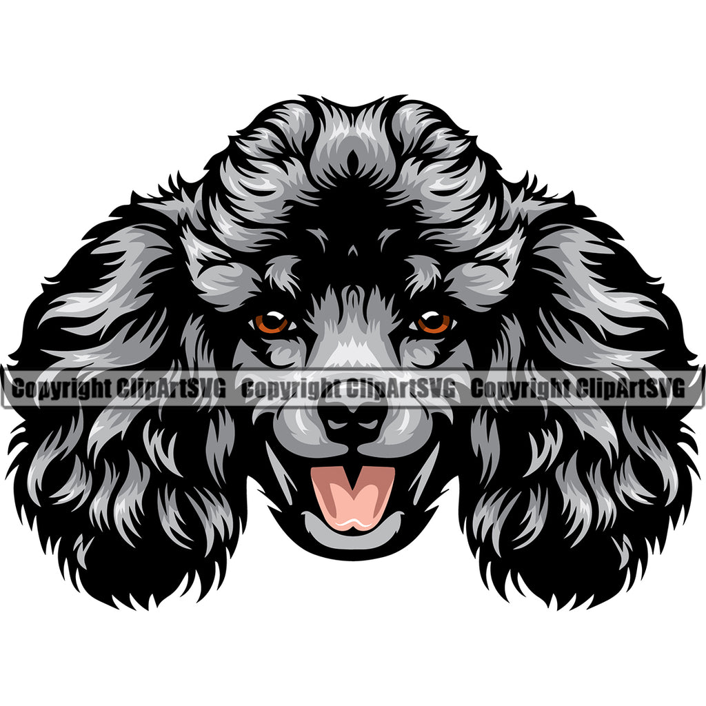 Poodle Dog Silver Color Head Design Animal Smile Face Puppy Pup Head Purebred Pedigree Canine K9 Animal Portrait Doggy Vector Clipart SVG