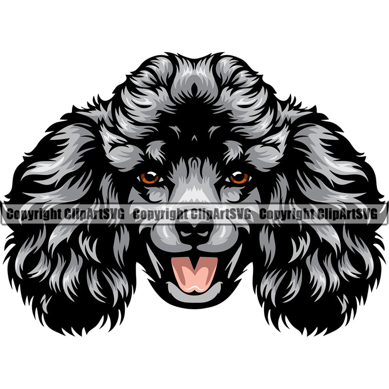 Poodle Dog Silver Color Head Design Animal Smile Face Puppy Pup Head Purebred Pedigree Canine K9 Animal Portrait Doggy Vector Clipart SVG