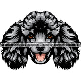 Poodle Dog Silver Color Head Design Animal Smile Face Puppy Pup Head Purebred Pedigree Canine K9 Animal Portrait Doggy Vector Clipart SVG
