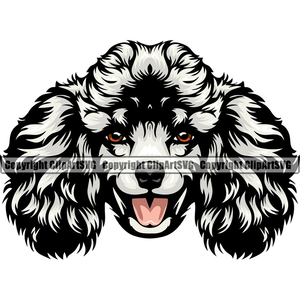 Poodle White Color Dog Head Design Puppy Pup Head Purebred Pedigree Canine K-9 K9 Animal Portrait Doggy Smile Face Cute Vector Clipart SVG