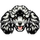 Poodle White Color Dog Head Design Puppy Pup Head Purebred Pedigree Canine K-9 K9 Animal Portrait Doggy Smile Face Cute Vector Clipart SVG