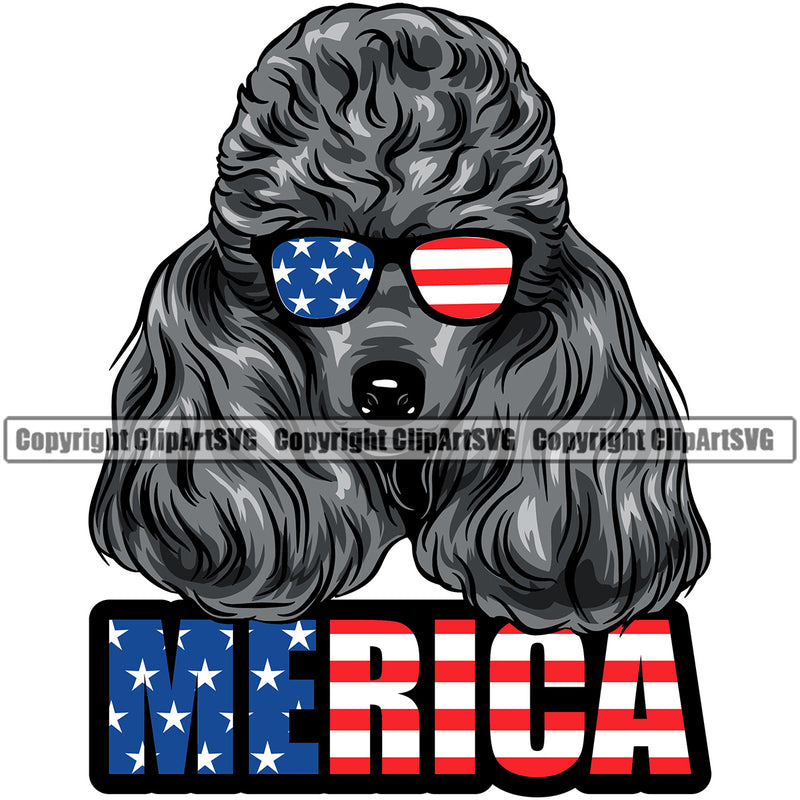 Poodle Wearing Sunglasses Color USA Flag Design Puppy Pup Head Purebred Pedigree Canine K-9 K9 Animal Portrait Doggy Long Hair Animal Vector Clipart SVG