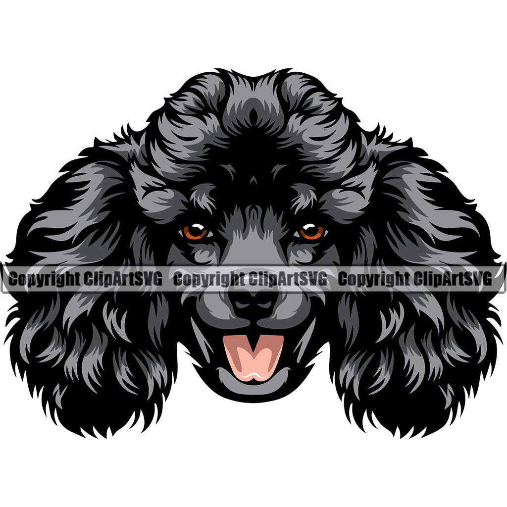 Poodle Dog Black Color Head Design Smile Face Animal Pup Head Purebred Pedigree K-9 K9 Animal Portrait Doggy Face Cute Puppy Canine Vector Clipart SVG