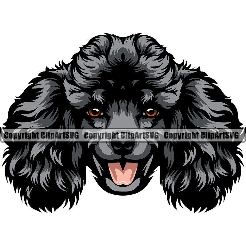 Poodle Dog Black Color Head Design Smile Face Animal Pup Head Purebred Pedigree K-9 K9 Animal Portrait Doggy Face Cute Puppy Canine Vector Clipart SVG