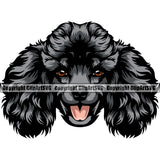 Poodle Dog Black Color Head Design Smile Face Animal Pup Head Purebred Pedigree K-9 K9 Animal Portrait Doggy Face Cute Puppy Canine Vector Clipart SVG