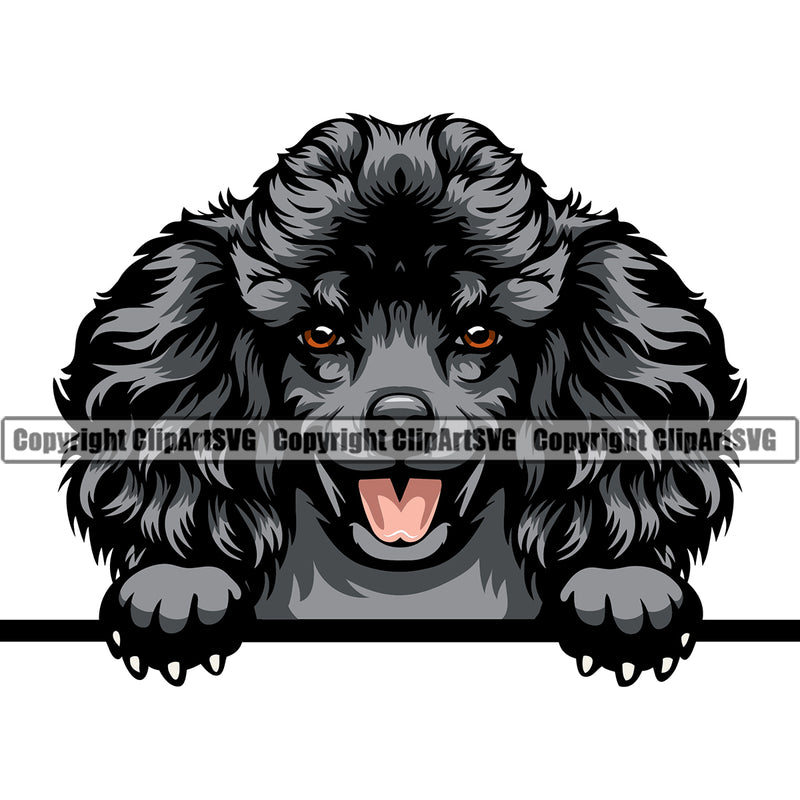 Poodle Dog Color Head Design Cute Smile Face Animal Puppy Pup Head Purebred Pedigree Canine K-9 K9 Animal Portrait Doggy Vector Clipart SVG