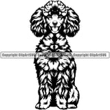 Poodle Dog Sitting Design Animal Body Cute Face Puppy Pup Head Purebred Pedigree Canine K-9 K9 Animal Portrait Doggy Vector Clipart SVG
