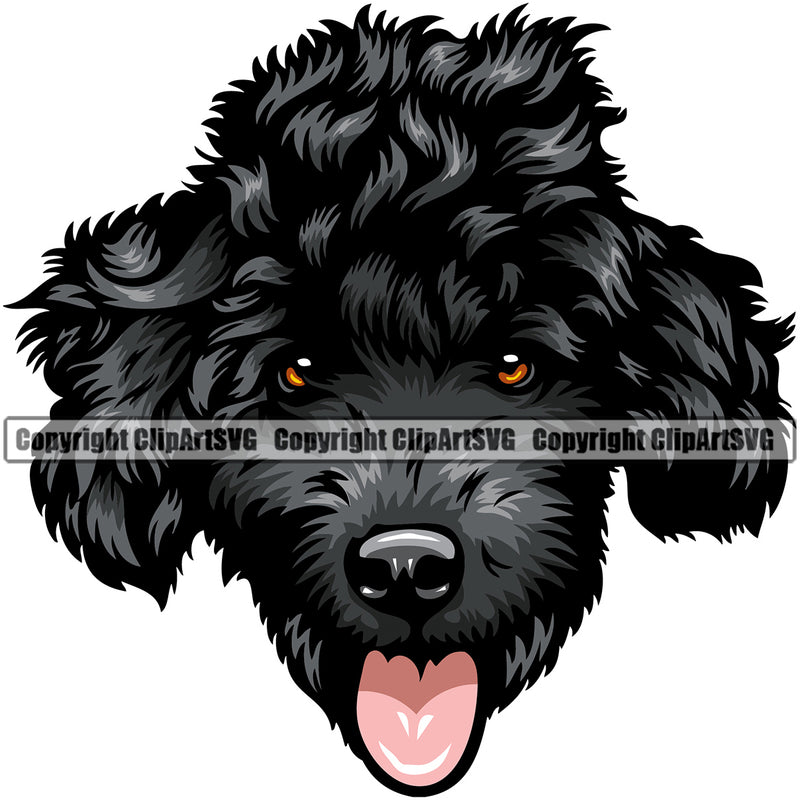 Poodle Dog Black Color Design Element Animal Face Design Puppy Pup Head Purebred Pedigree Canine K-9 K9 Animal Portrait Doggy Face Vector Clipart SVG