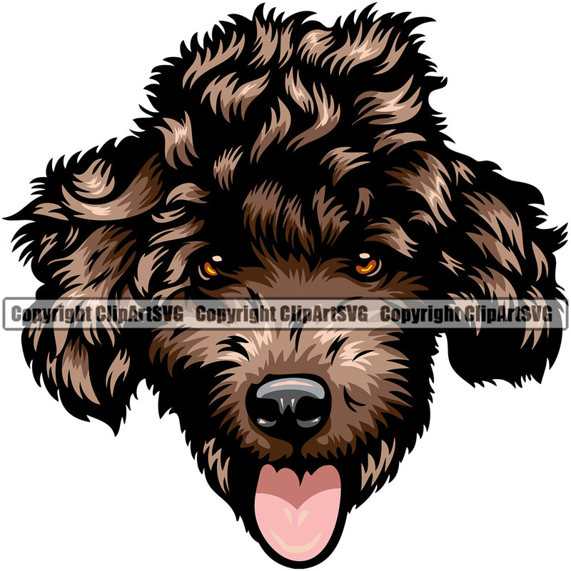 Poodle Dog Brown Color Face Design Element Puppy Pup Head Purebred Pedigree Canine K-9 K9 Animal Portrait Doggy Face Smile Vector Clipart SVG