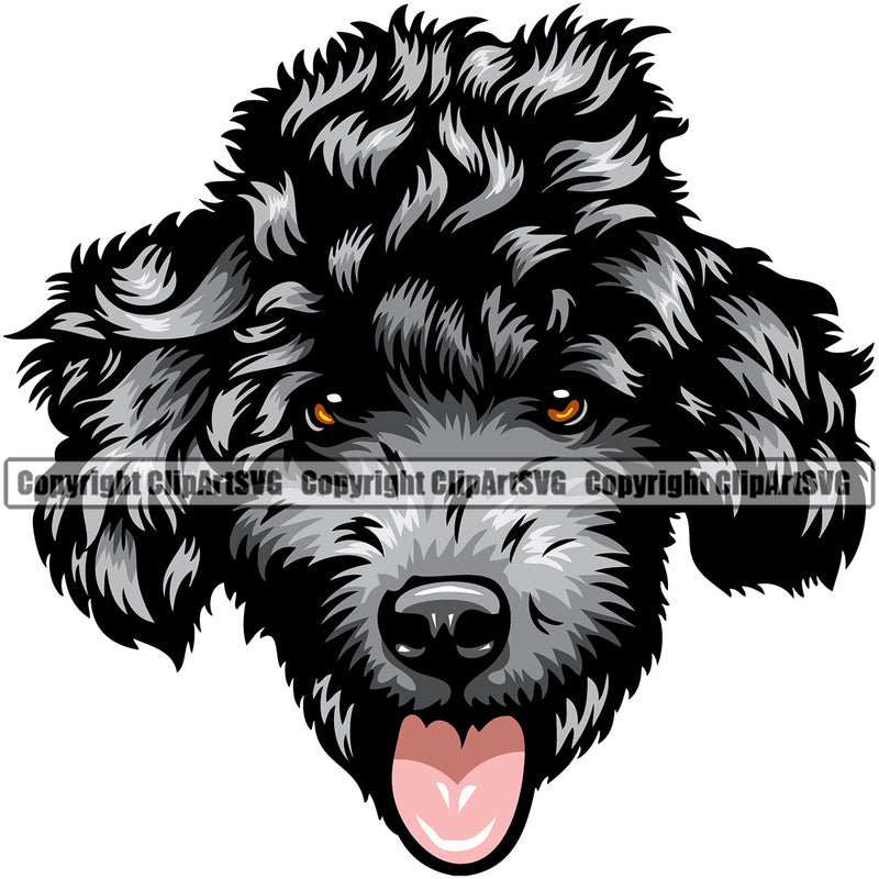 Poodle Silver Color Design Element Smile Face Puppy Pup Head Pedigree Canine K-9 K9 Animal Doggy Vector Portrait Purebred Clipart SVG