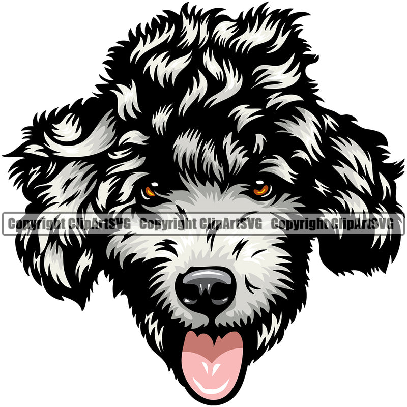 Poodle Dog White Color Design Element Animal Smile Face Doggy Puppy Pup Head Purebred Pedigree Canine K-9 K9 Animal Portrait Vector Clipart SVG