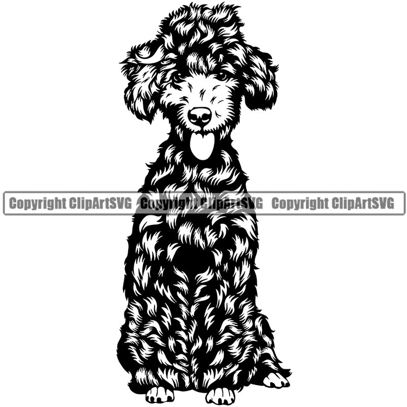 Poodle Sitting Dog Design Animal Body Smile Face Puppy Pup Head Purebred Pedigree Canine K-9 K9 Animal Portrait Doggy Vector Clipart SVG
