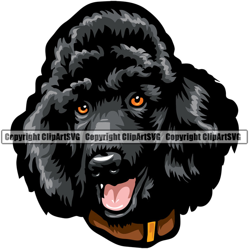Poodle Dog Black Color Design Animal Smile Face Puppy Pup Head Purebred Pedigree K-9 K9 Animal Portrait Doggy Vector Canine Clipart SVG