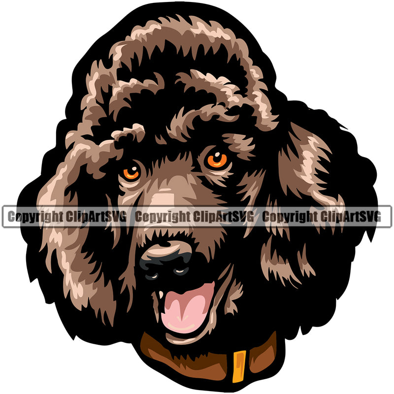 Poodle Dog Brown Color Head Design Element Smile Animal Face Puppy Pup Head Purebred Pedigree Canine K-9 K9 Animal Portrait Doggy Vector Clipart SVG